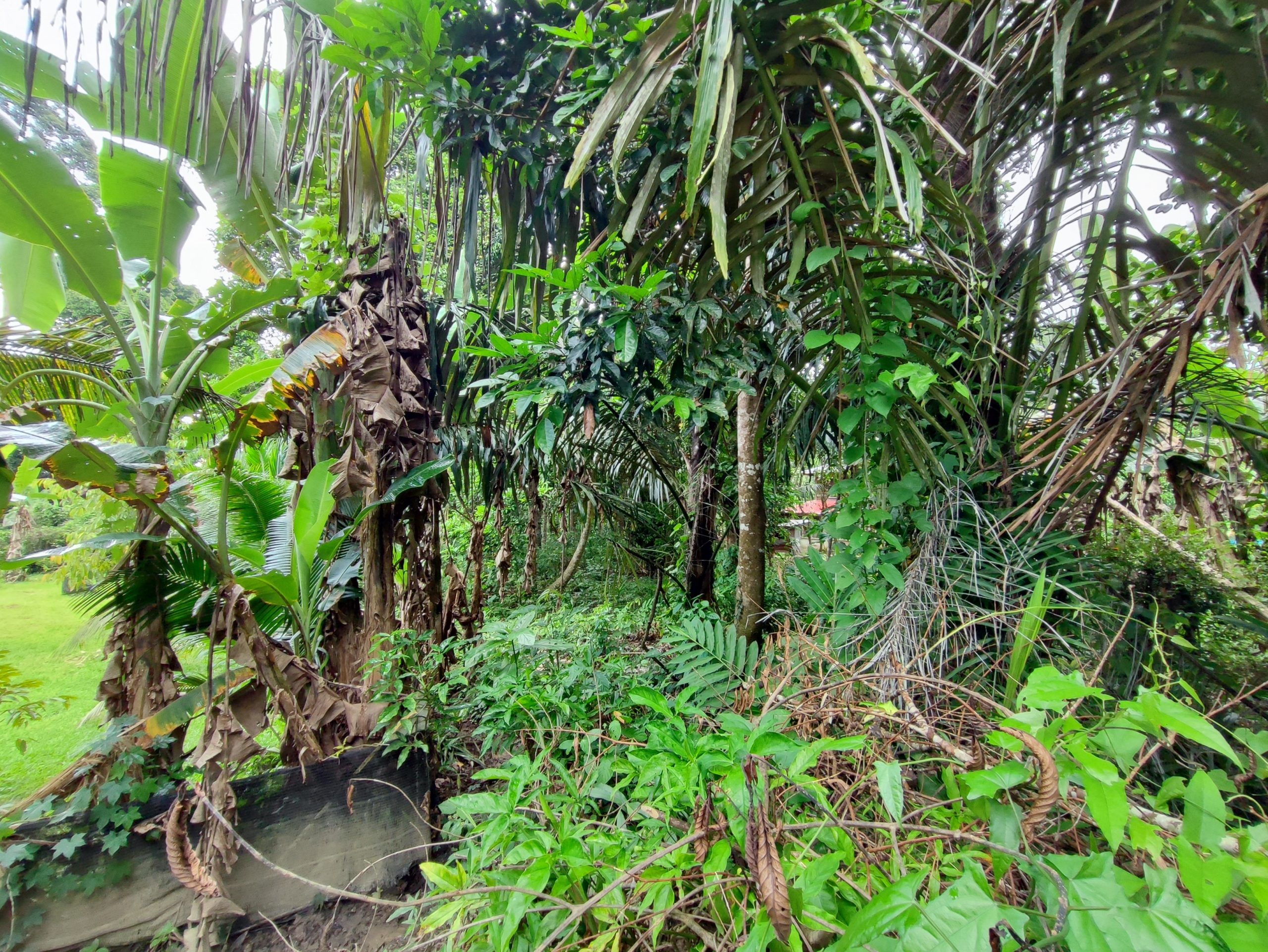 Ejen Hartanah Kuala Kangsar-Tanah Lot Kampung Loh-5