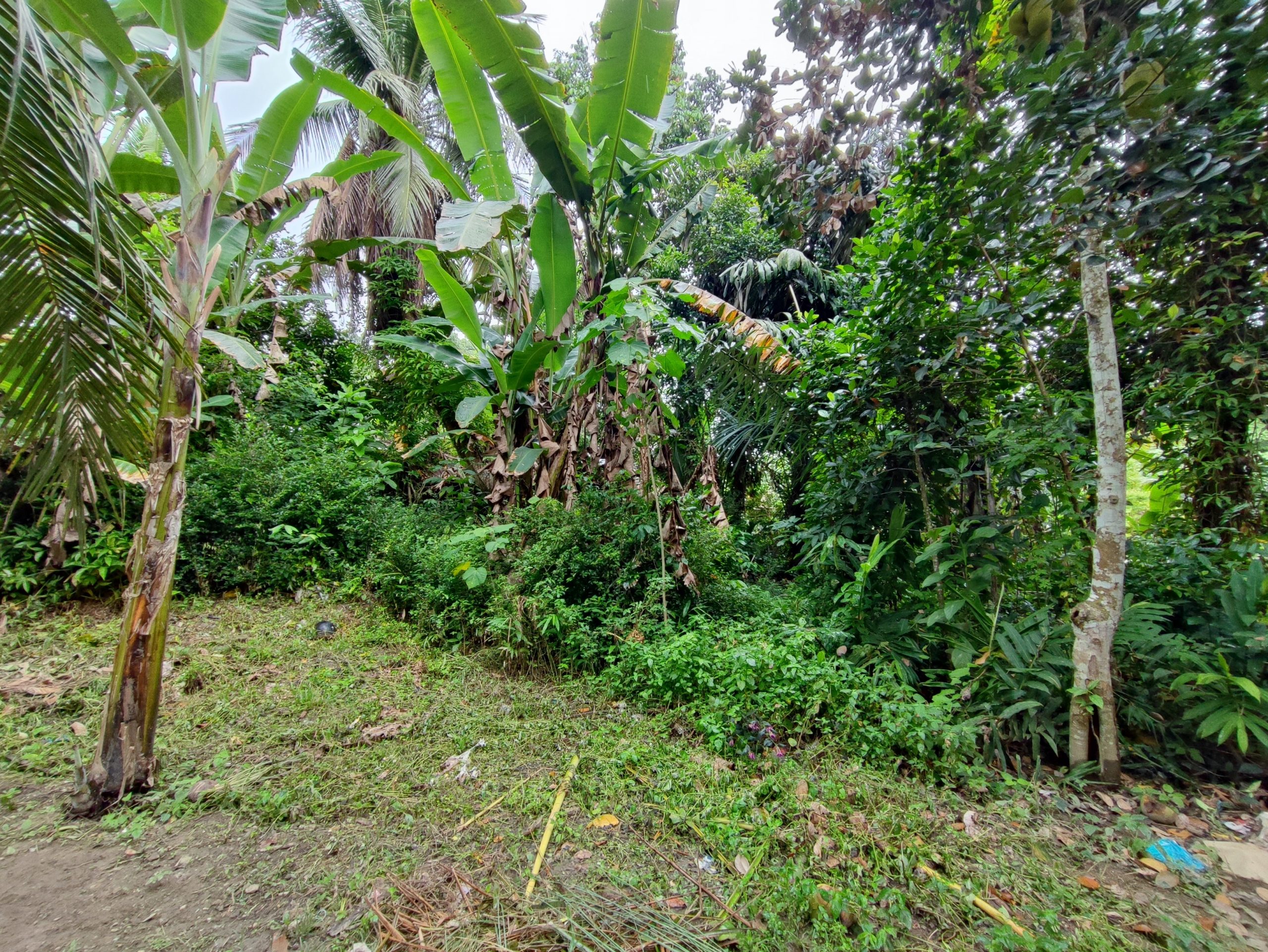 Ejen Hartanah Kuala Kangsar-Tanah Lot Kampung Loh-6