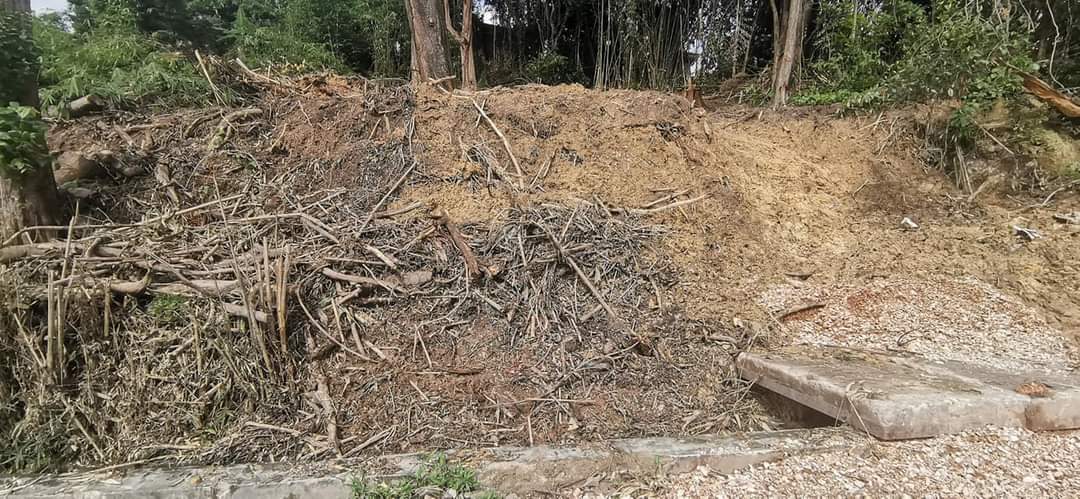 FB_IMG_1670466586376