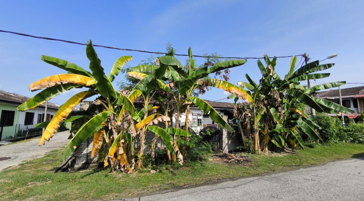 149fa170-0290-4d68-9307-891ccfdf39e7