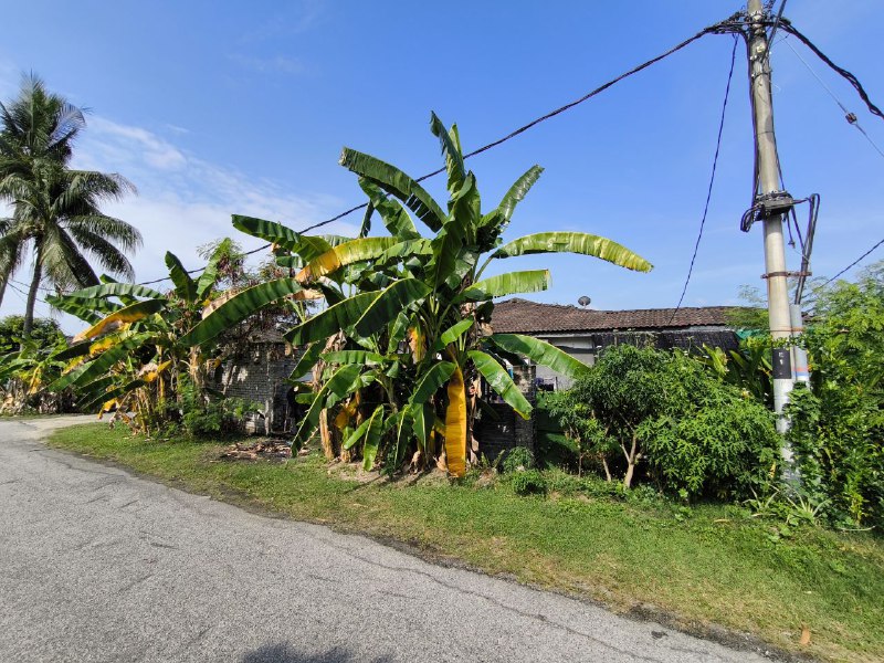 e1bb87ce-511b-48a2-8375-779683b04339