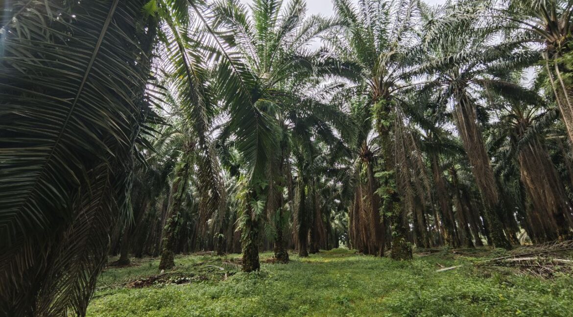 599500060_880421187862486_6713088174965171965_n