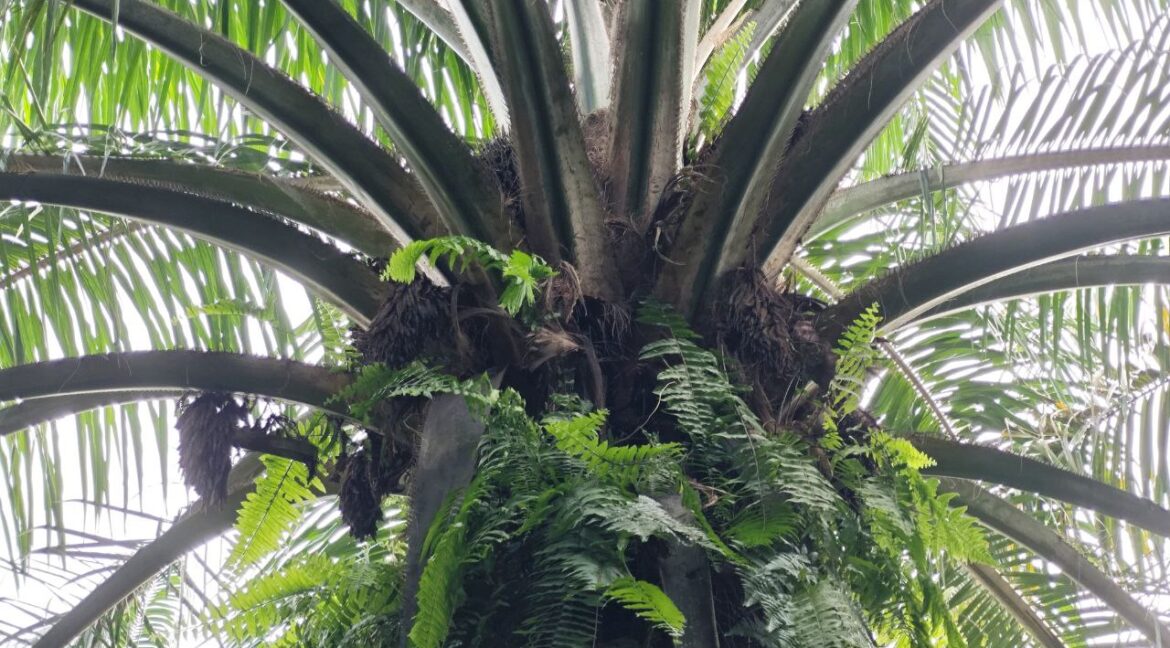 600168361_880421114529160_2654756274261132373_n