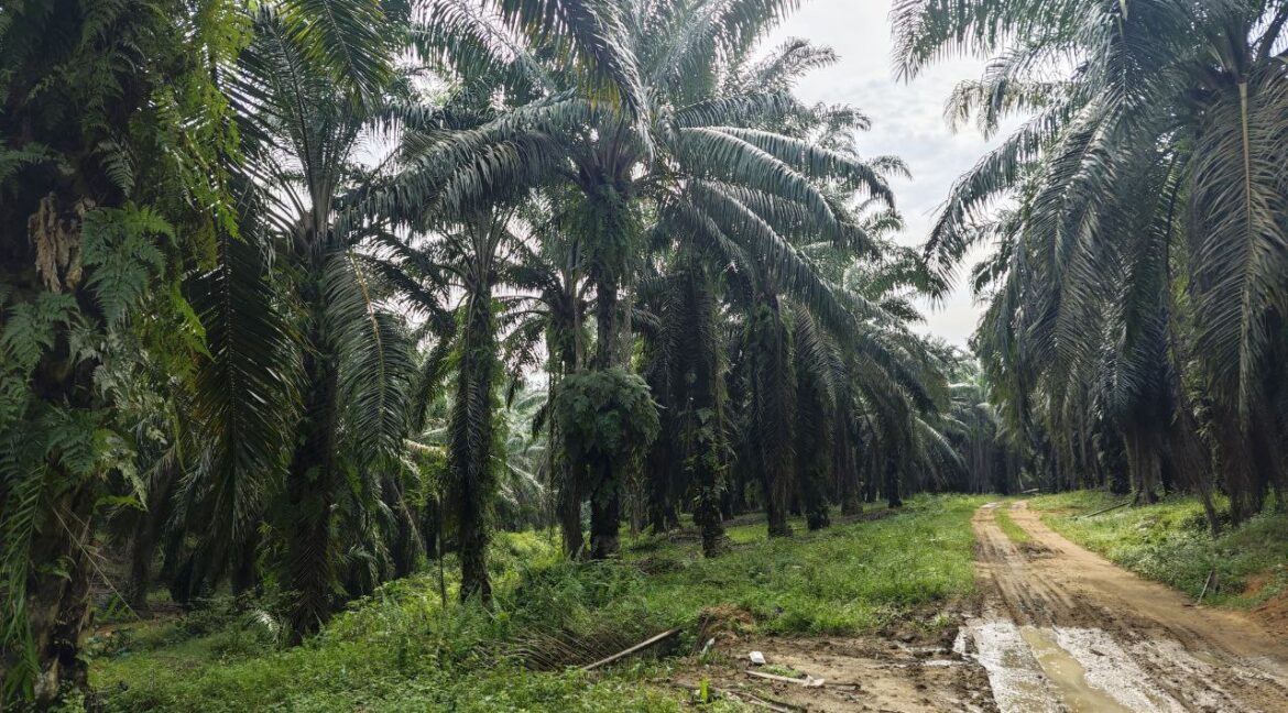 600181034_880421204529151_1129202011789646301_n