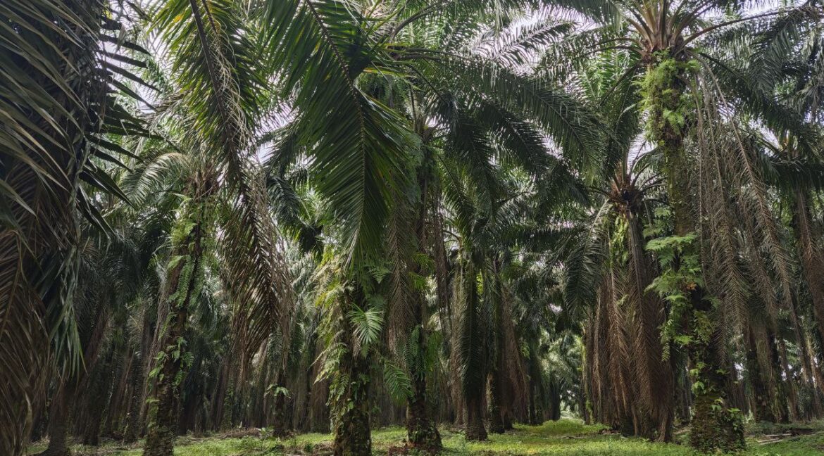 600383434_880421207862484_1229988299758272170_n