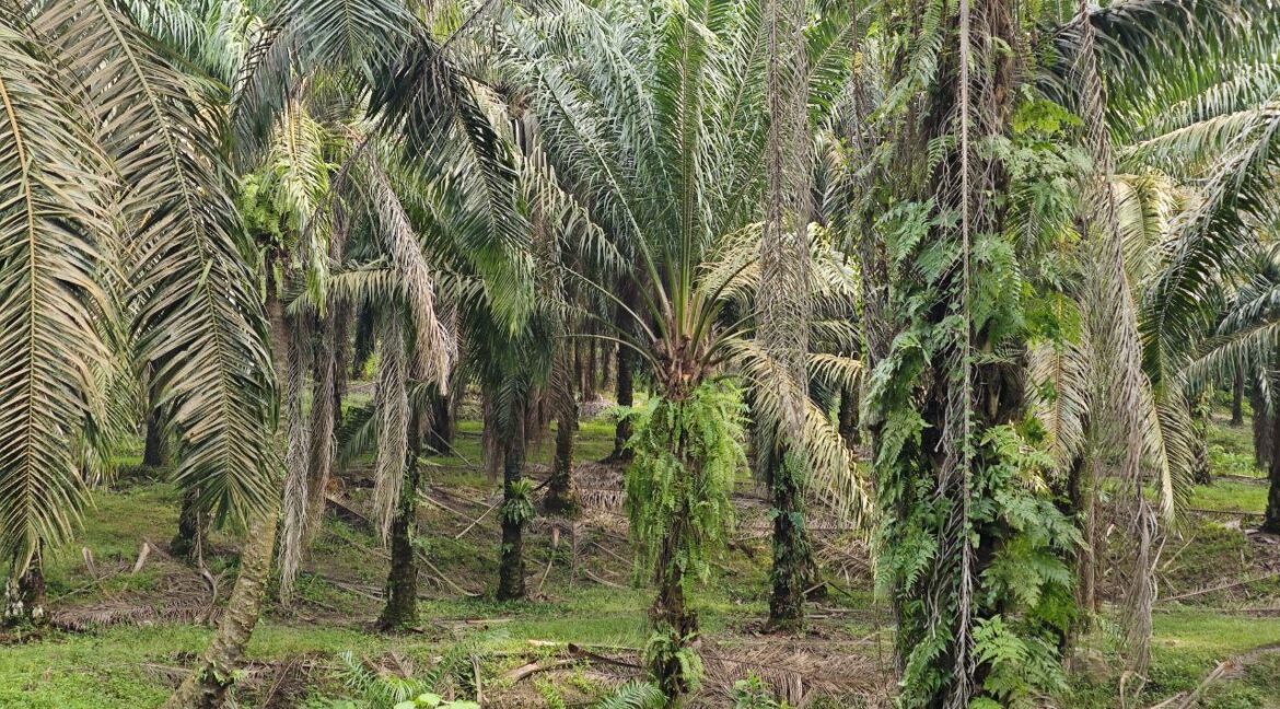 600392465_880421217862483_5099547748380340294_n