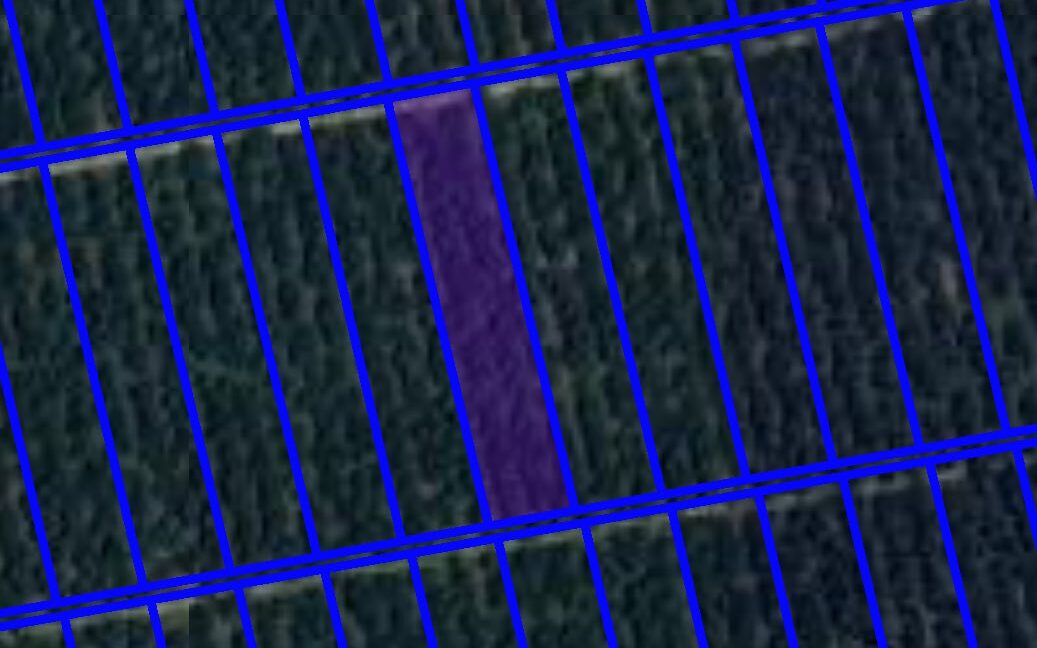 605376052_914943017773623_1590804132488141555_n