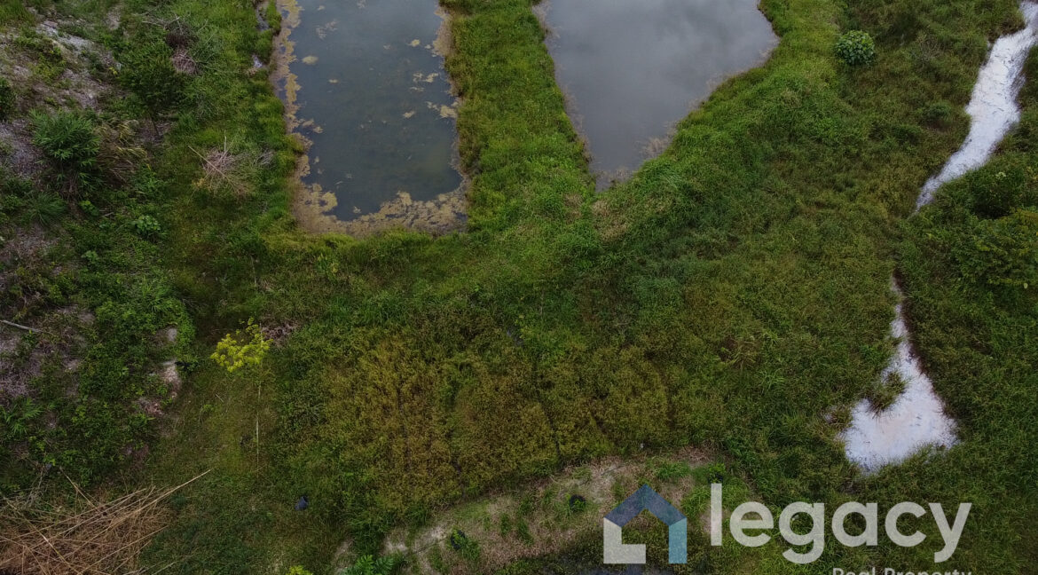DCIMPANORAMA101_0972DJI