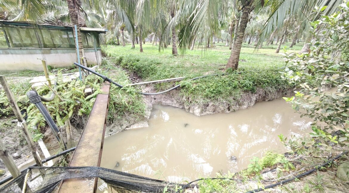 665260919_968527159051888_8749892528119458271_n