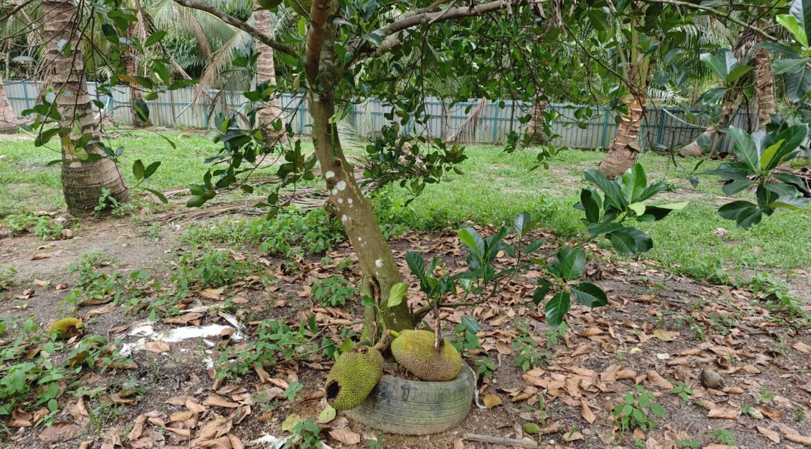 665746687_968526889051915_7704448009671494512_n