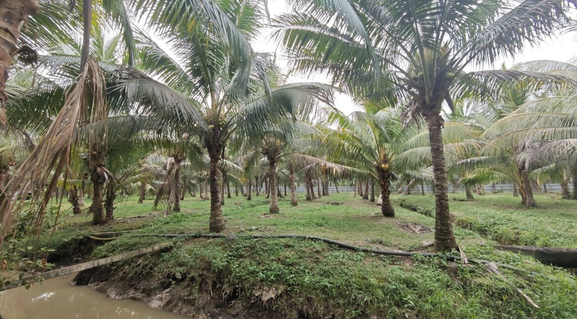 665870614_968526185718652_6985892763790354062_n