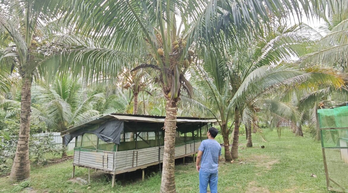 666567035_968527235718547_4759107769469553579_n