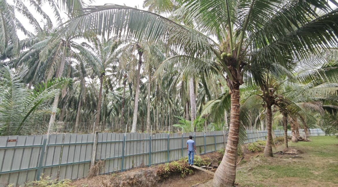 668483670_968526405718630_1403336348316685331_n