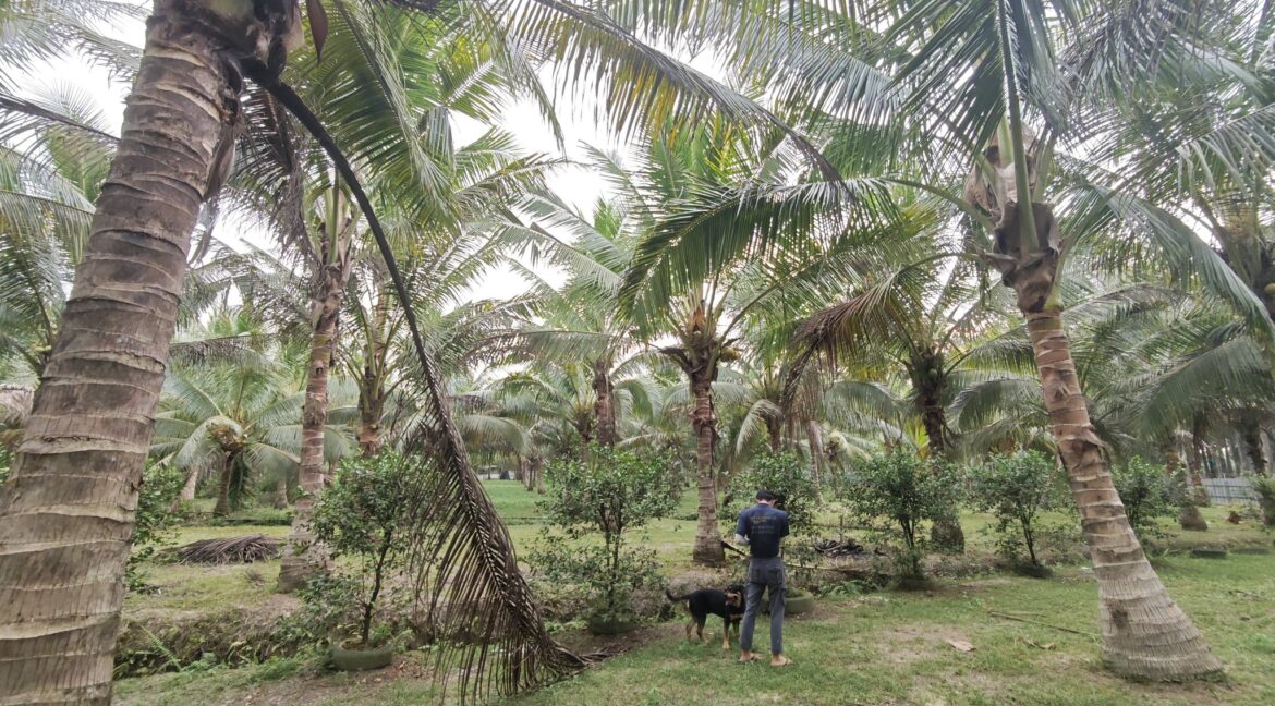 668555881_968526765718594_4431378542028375055_n