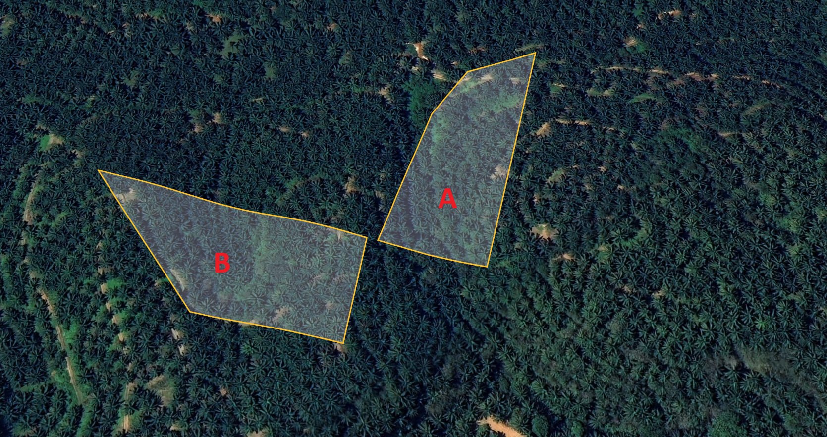 Tanah Sawit Untuk Dijual Di Pulau Kamiri, Kuala Kangsar