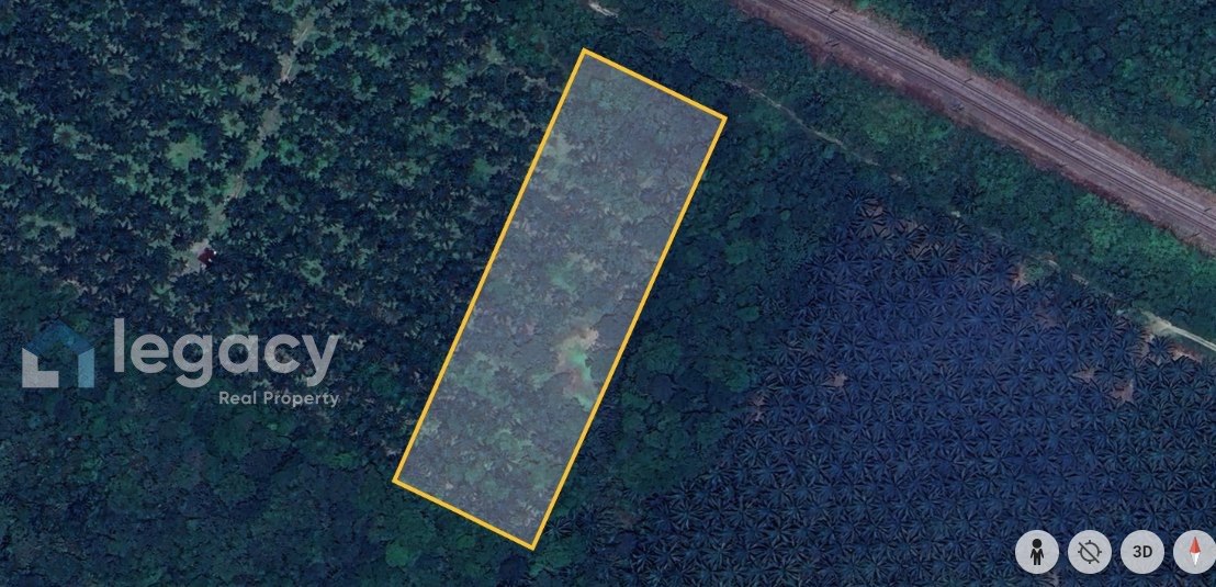 Tanah Kelapa Sawit Di Kampung Kelawar, Tanjung Malim Untuk Dijual.